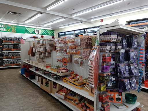 Shopping Mall «The Shops at Aramingo», reviews and photos, 3801 Aramingo Ave, Philadelphia, PA 19137, USA