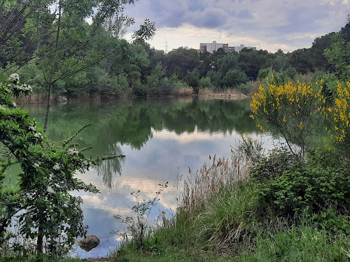 lac des garrigues à Montpellier