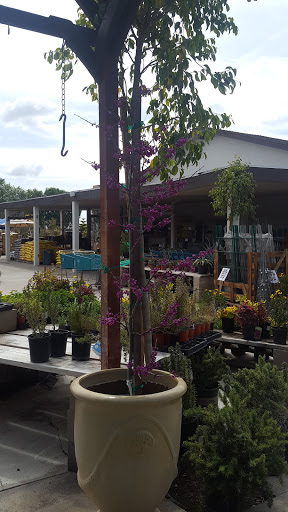 Gift Shop «Blue Hills Nursery & Gift Shop», reviews and photos, 16440 Whittier Blvd, Whittier, CA 90603, USA