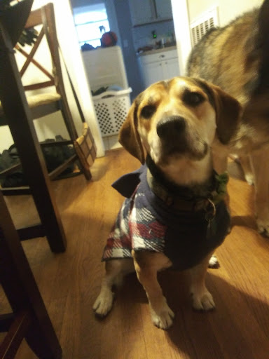 Pet Supply Store «Pet Supplies Plus», reviews and photos, 605 Grand Central Ave, Vienna, WV 26105, USA