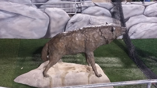 Stadium «Carter-Finley Stadium», reviews and photos, 4600 Trinity Rd, Raleigh, NC 27607, USA