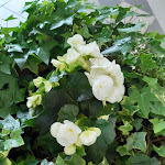 Photo n°2 de l'avis de HAN9993. fait le 07/05/2023 à 19:00 sur le  Agriturismo La Dolza à Follina