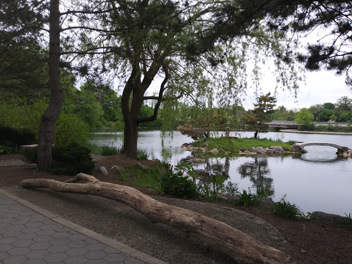 Tourist Attraction «Hoyt Lake», reviews and photos, 199 Lincoln Pkwy, Buffalo, NY 14222, USA