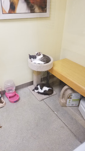 Pet Supply Store «Petco Animal Supplies», reviews and photos, 3551 W Hillsboro Blvd, Deerfield Beach, FL 33442, USA