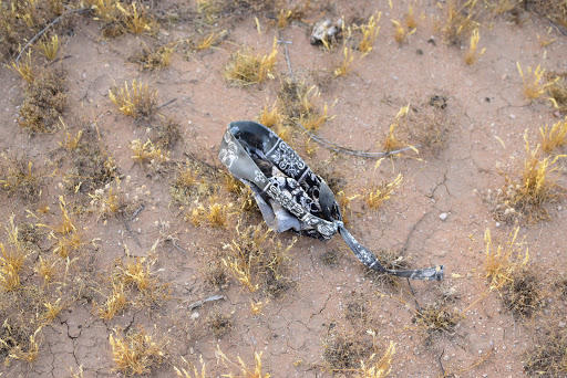 Nature Preserve «Cave Buttes Recreation Area», reviews and photos, N 7th St & E Happy Valley Rd, Phoenix, AZ 85024, USA