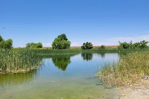 Conoco Pond image