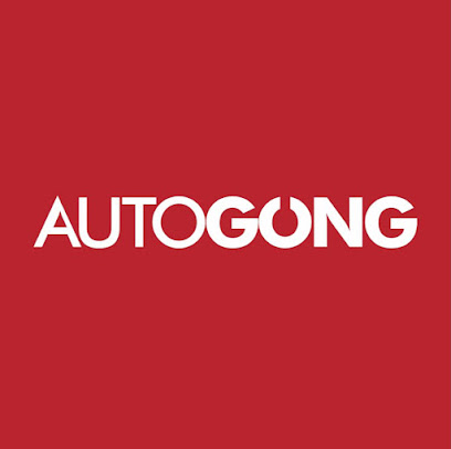 Autogong