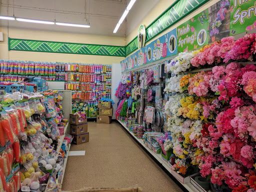 Dollar Store «Dollar Tree», reviews and photos, 1031 E Oakton St, Des Plaines, IL 60018, USA