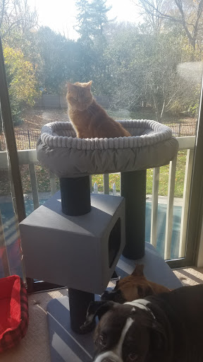 Pet Supply Store «Petco Animal Supplies», reviews and photos, 205 Washington St #11, Hudson, MA 01749, USA