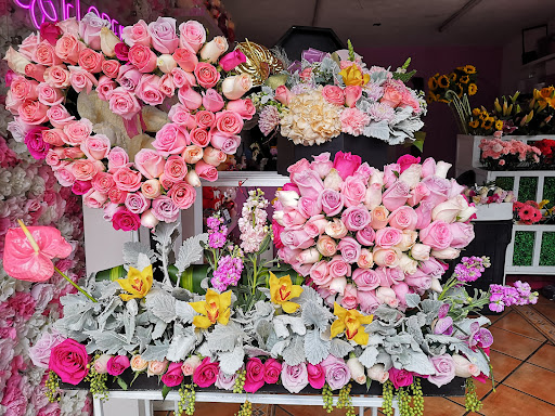 florerías en Morelia Florema – Morelia