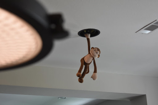 Install Monkey