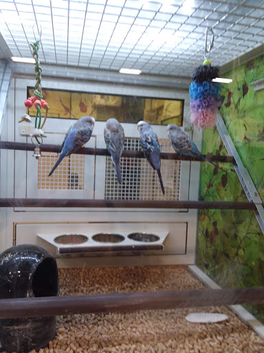 Pet Supply Store «PetSmart», reviews and photos, 2216 E Springs Dr, Madison, WI 53704, USA