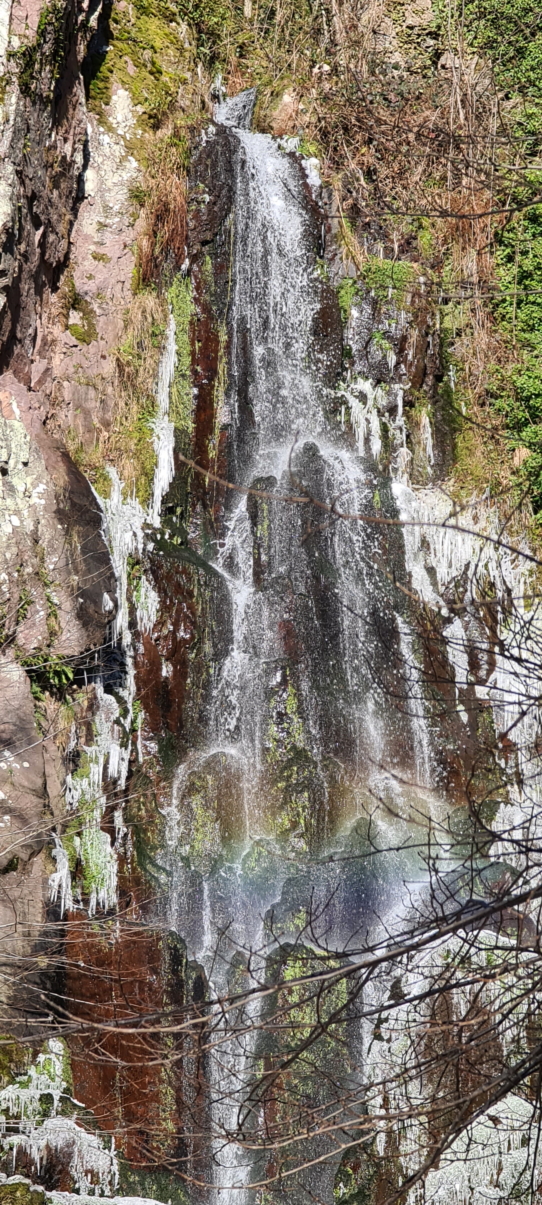 Photo n° 2 de l'avis de Jean.r fait le 11/01/2021 à 21:20