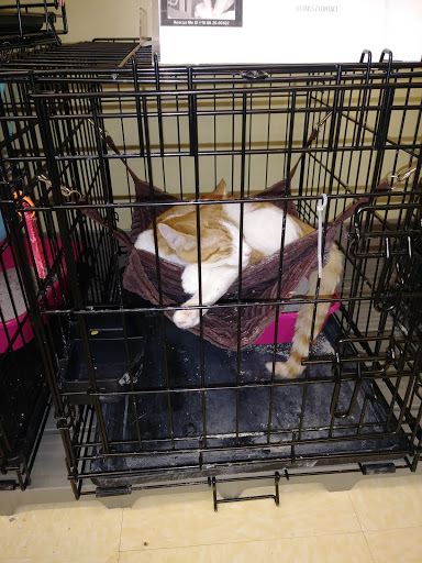 Pet Supply Store «Petco Animal Supplies», reviews and photos, 300 Quaker Ln #3, Warwick, RI 02886, USA