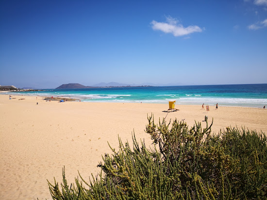 Playa Larga