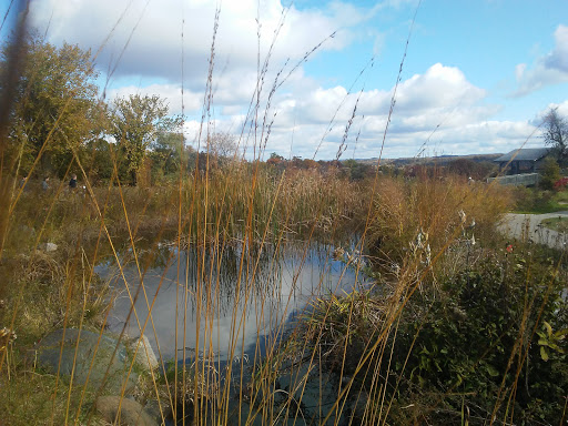 Nature Preserve «Carpenter Nature Center», reviews and photos, 12805 St Croix Trail S, Hastings, MN 55033, USA