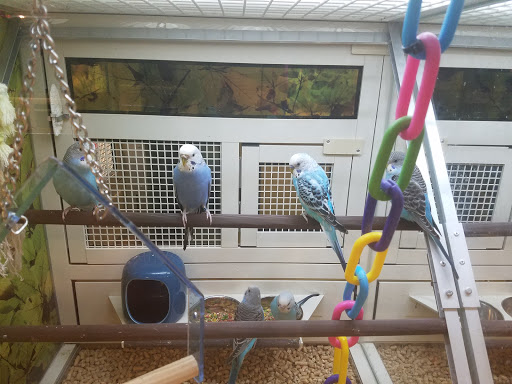 Pet Supply Store «PetSmart», reviews and photos, 10363 Fairway Dr, Roseville, CA 95678, USA