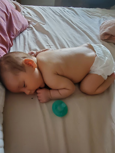 Vineyard «Boordy Vineyards», reviews and photos, 12820 Long Green Pike, Hydes, MD 21082, USA