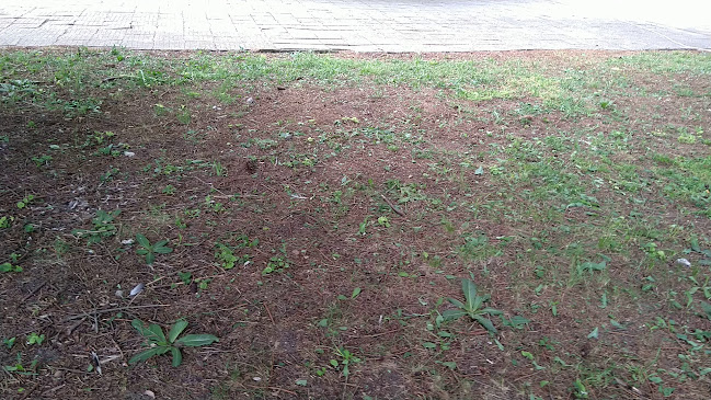 Opinii despre ДГ "Щастливо Детство" în Шумен - Училище