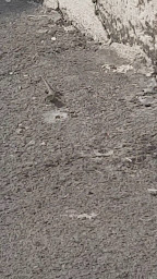 Photo n°4 de La Petite Auberge à Ciry-Salsogne ()