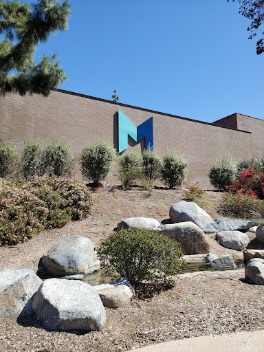The Magnolia image
