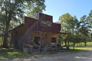 Rustic Sky Horse Camp image