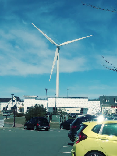 Grocery Store «Market Basket», reviews and photos, 101 Gloucester Crossing Rd, Gloucester, MA 01930, USA