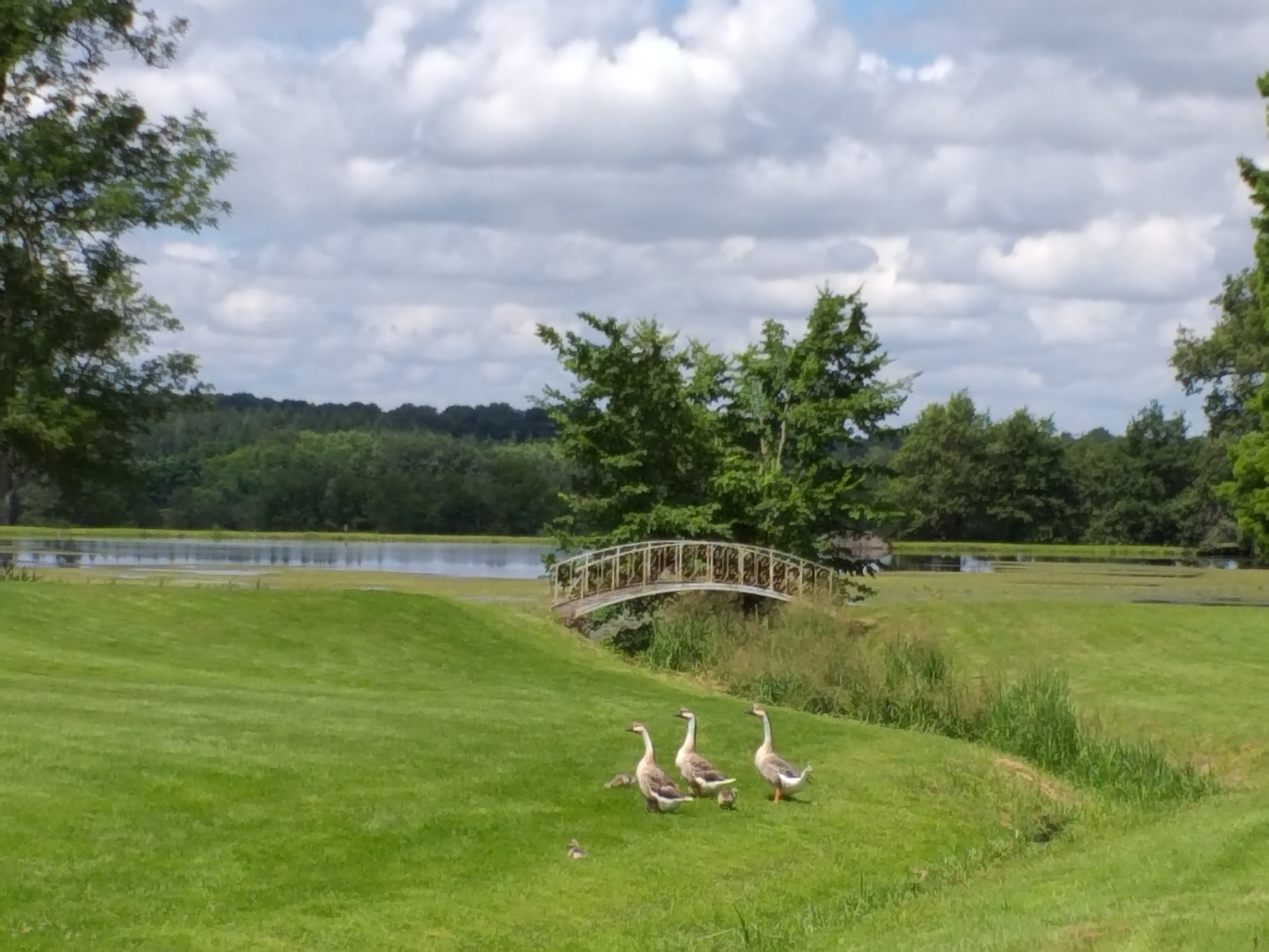 Photo n° 3 de l'avis de Estelle.o fait le 11/07/2021 à 19:59