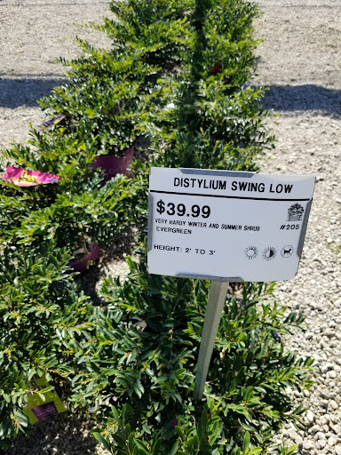 Plant Nursery «Guerin Nursery and Boutique», reviews and photos, 1418 Fall Creek Hwy, Granbury, TX 76049, USA