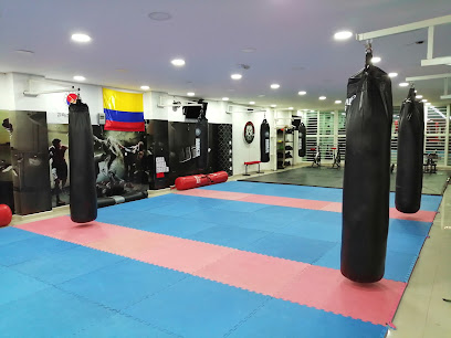 CASA KOREA FIGHTER MMA - Av. Ambala #29-45 2 piso, Ibagué, Tolima, Colombia