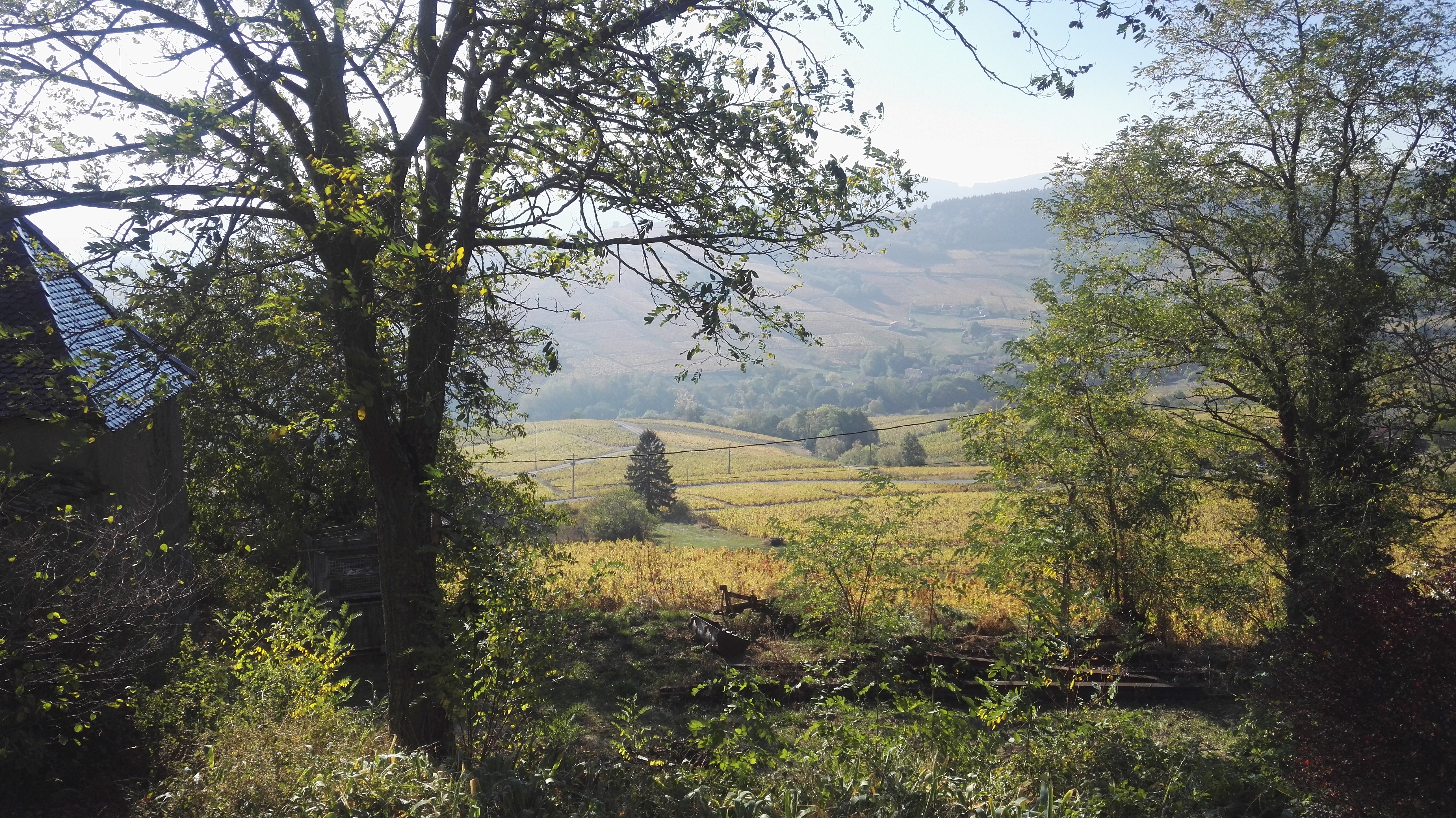 Photo n° 8 de l'avis de Christophe.e fait le 21/10/2018 à 18:48