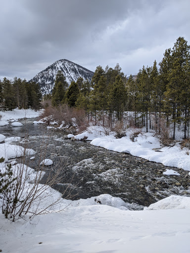 Grocery Store «Safeway», reviews and photos, 1008 Summit Blvd, Frisco, CO 80443, USA