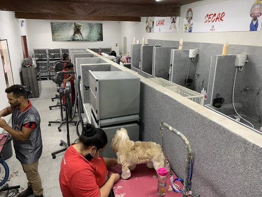 Clínicanis em São Paulo - SP