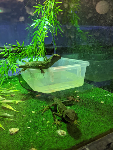 Pet Store «Inland Reef Pet Store», reviews and photos, 817 Cross Lanes Dr, Cross Lanes, WV 25313, USA