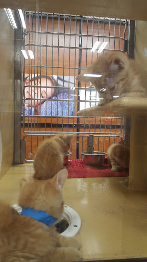 Pet Supply Store «PetSmart», reviews and photos, 104 Dettro Dr, Mattoon, IL 61938, USA