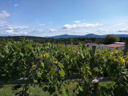 Tourist Attraction «Luray Valley Museum», reviews and photos, 100 Cave Hill Rd, Luray, VA 22835, USA