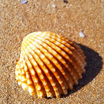 Photo n°12 de l'avis de Luca.o fait le 05/09/2022 à 18:34 sur le  Albergo Villa a Mare à Peschici