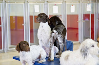 Utah Dog Park Airport, A Thrive Pet Healthcare Partner - Photo 4 - Car repair in Salt Lake City, UT, Salt Lake City