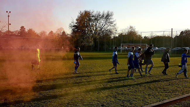 Értékelések erről a helyről: Bölcskei focipálya, Bölcske - Sportpálya