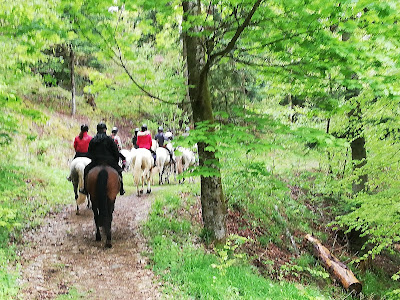 Ferme MUNSCH Ranch du Laubenrain à Jungholtz
