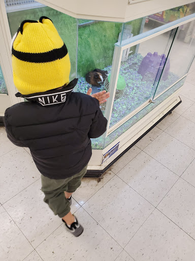 Pet Supply Store «PetSmart», reviews and photos, 213 Hartford Ave, Bellingham, MA 02019, USA