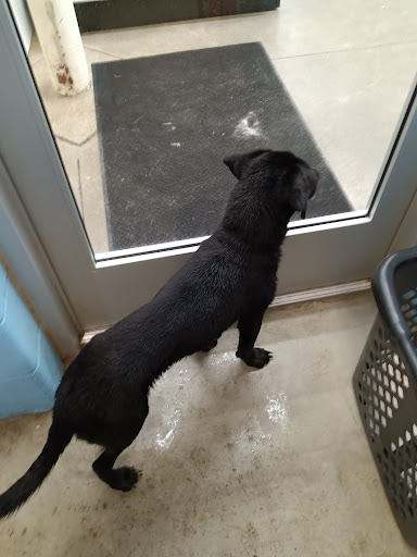 Pet Supply Store «IncrediPet», reviews and photos, 306 Southland Dr, Lexington, KY 40503, USA