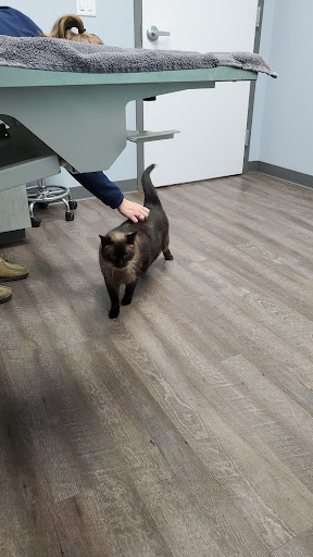 Inspire Animal Hospital image