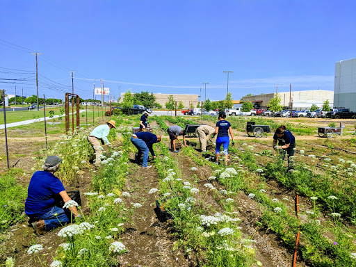 Non-Profit Organization «Central Texas Food Bank», reviews and photos