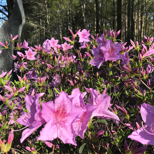 Art Center «Annmarie Sculpture Garden and Arts Center», reviews and photos, 13480 Dowell Rd, Dowell, MD 20629, USA