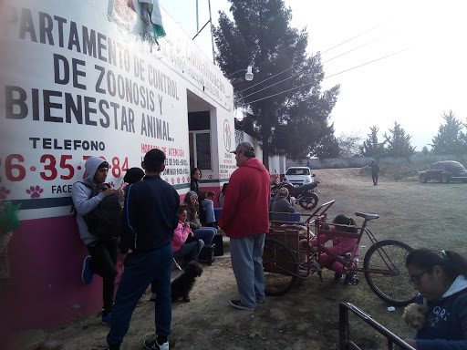 Guardería para gatos Chimalhuacán