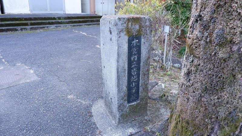 皆地いきものふれあいの里(旧皆地小学校)