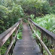 Mike Roess Gold Head Branch State Park