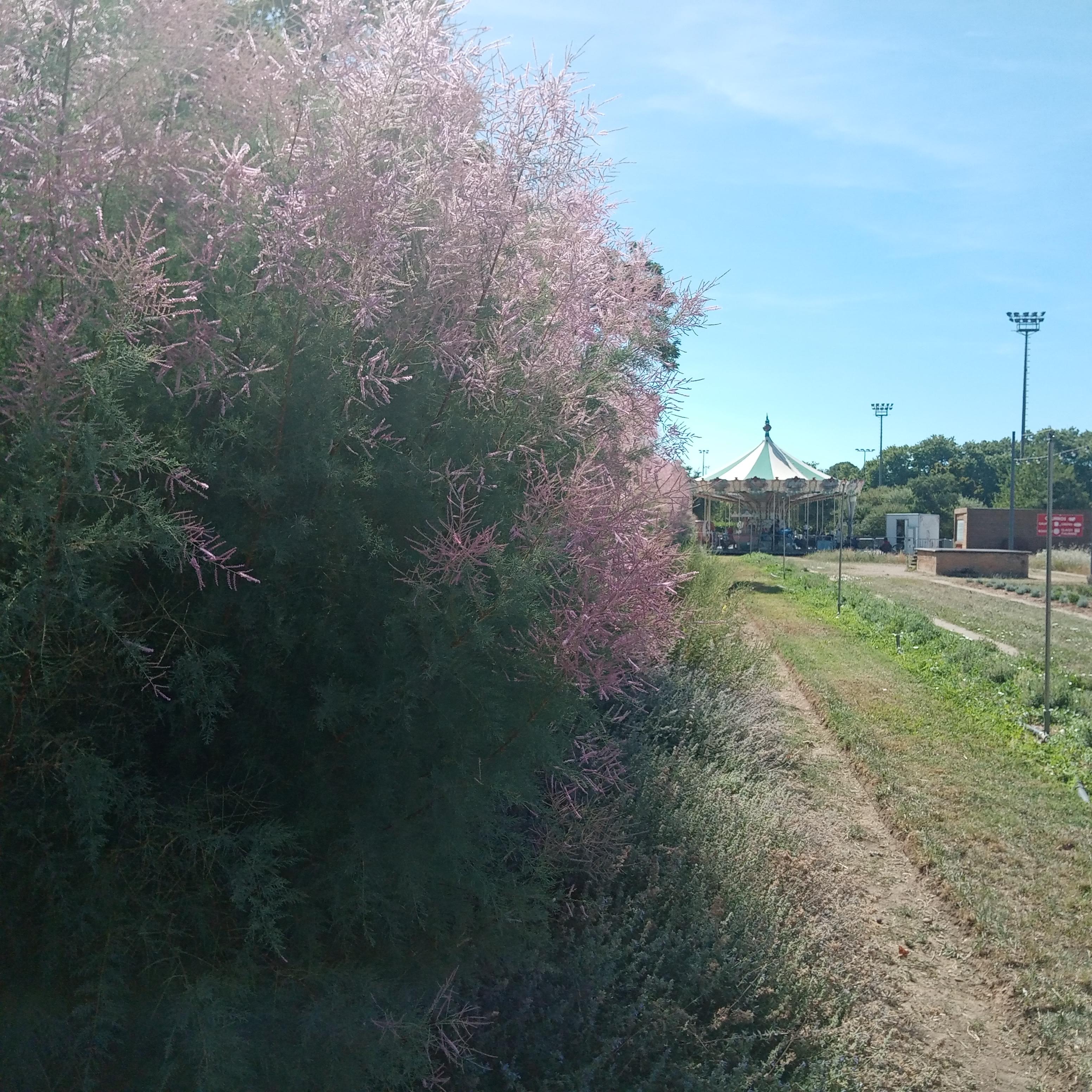 Photo n° 9 de l'avis de Carole.o fait le 02/08/2022 à 14:34