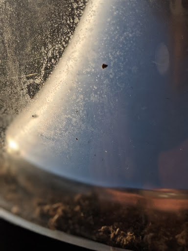 Public Swimming Pool «Frances Meadows Aquatic Center», reviews and photos, 1545 Community Way, Gainesville, GA 30501, USA